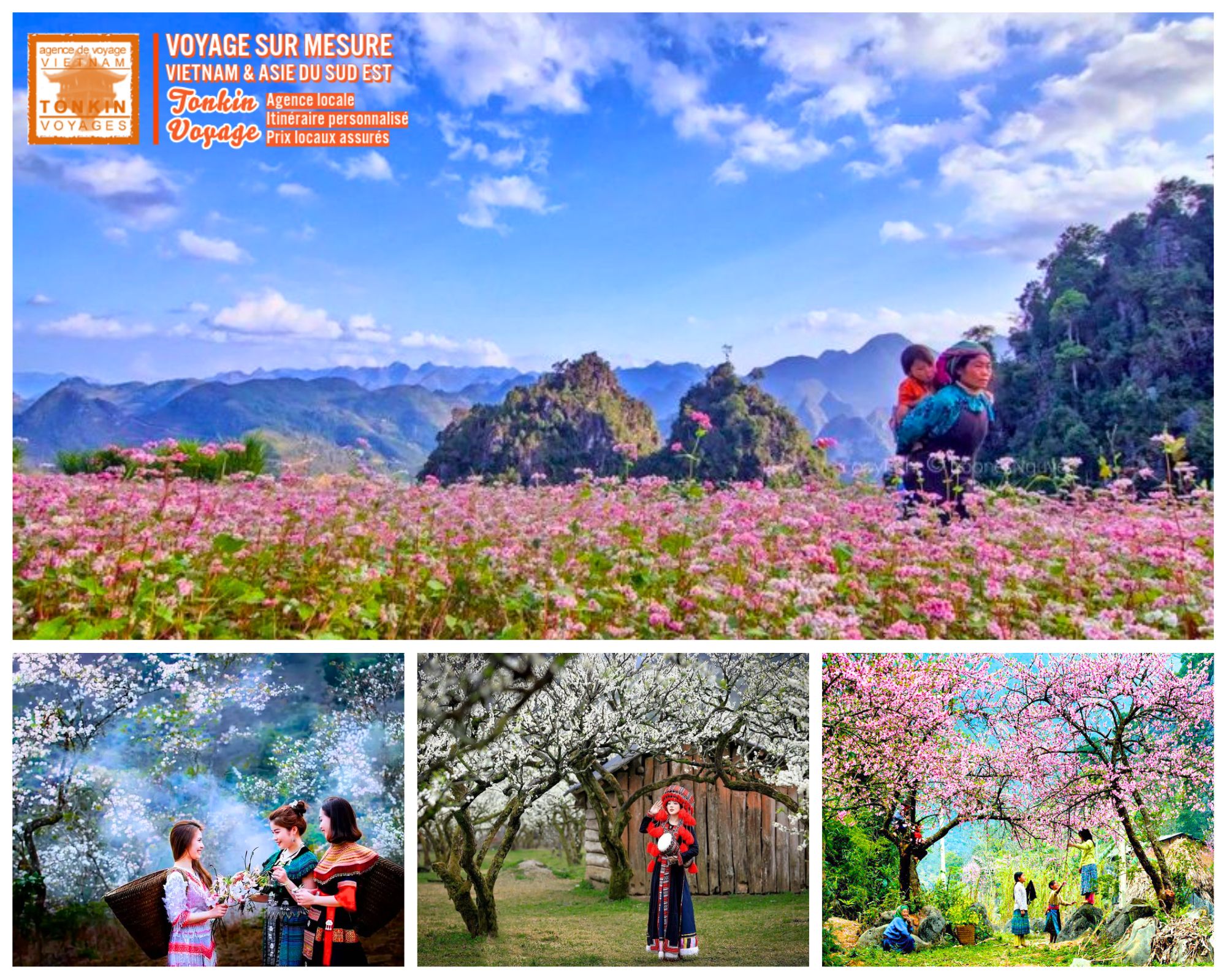 Voyage au Vietnam au fil des floraisons - Calandrier des plus belles floraisons